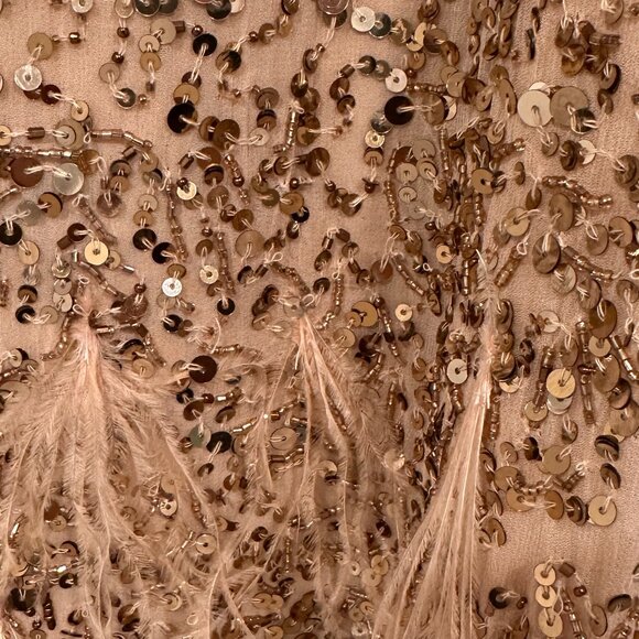 Parker Champagne Dress w/ Ombre Sequins & Feather Detail - Picture 2 of 6